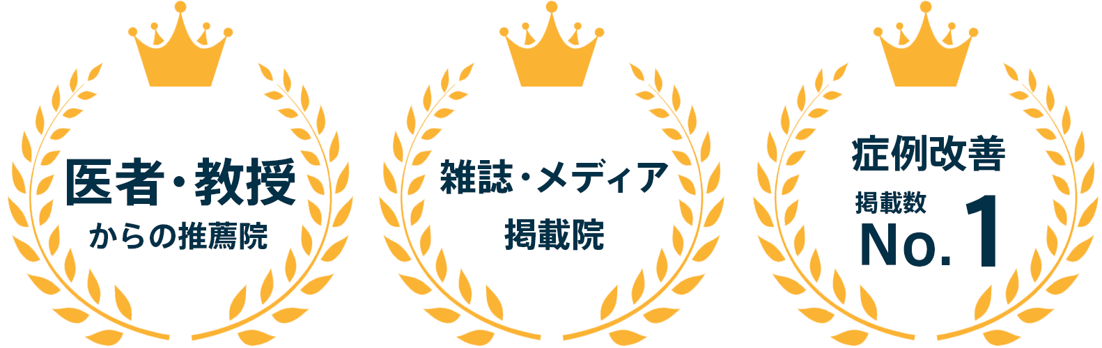 鍼灸整体院WATOの実績